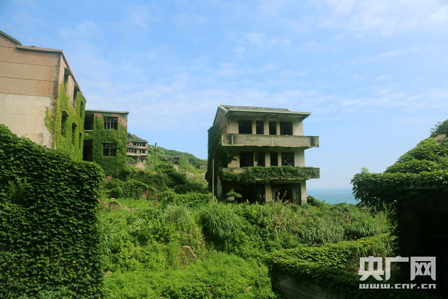 【你好，小島】被時間遺忘的「綠野仙蹤」 探訪神秘海島無人村 旅遊 第11張