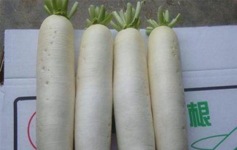 怎样泡白萝卜好吃又脆 60e3a0370a1e40588f3a4b08635bf48d.jpeg