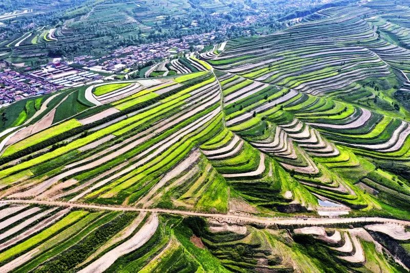 固原梯田固原花儿固原美丽周末盛开