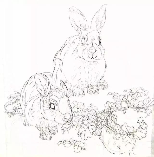 怎么画兔子?工笔画法分步示范讲解,兔子花