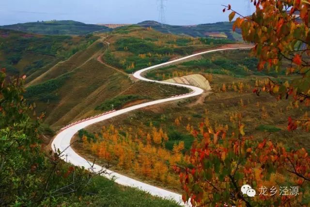 泾隆公路入选宁夏最美农村路