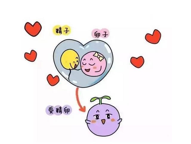 这个部位止不住的"疼痛",暗示你怀孕了,不用等"红杠杠