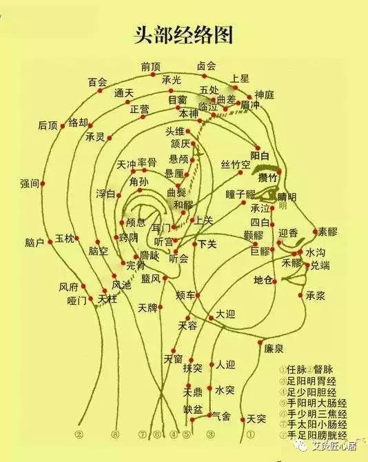 头发身体脏腑的警报器变白脱落枯萎艾灸逐个击破