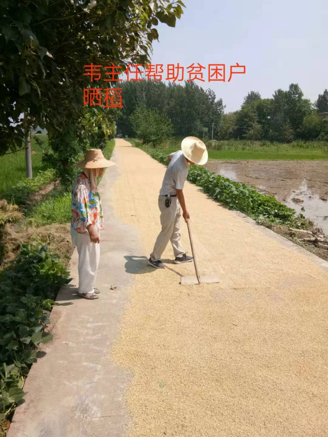 上兴有多少人口_台湾有多少人口