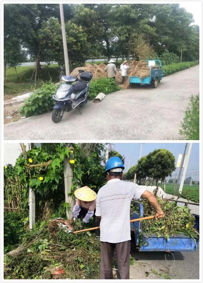 谢村人口_惠阳花塘村人口(3)