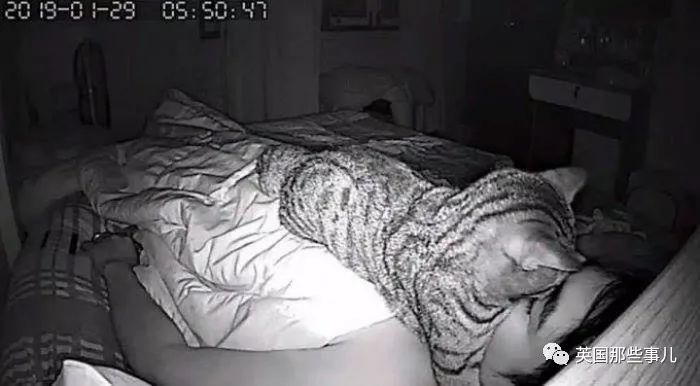 总觉得睡觉时呼吸困难，床边装了个摄像头才发现罪魁祸首