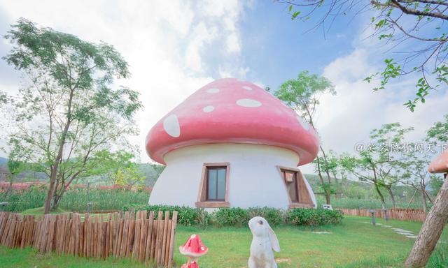 蘑菇屋第一季免费观看入口 91d6d1f91fe44e46ac48ddc24393dfb1.jpeg