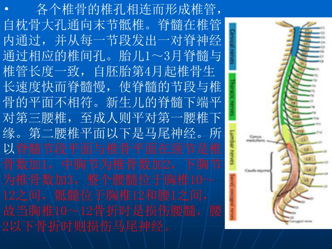 进阶必读 | 脊柱骨折与脊髓损伤概述