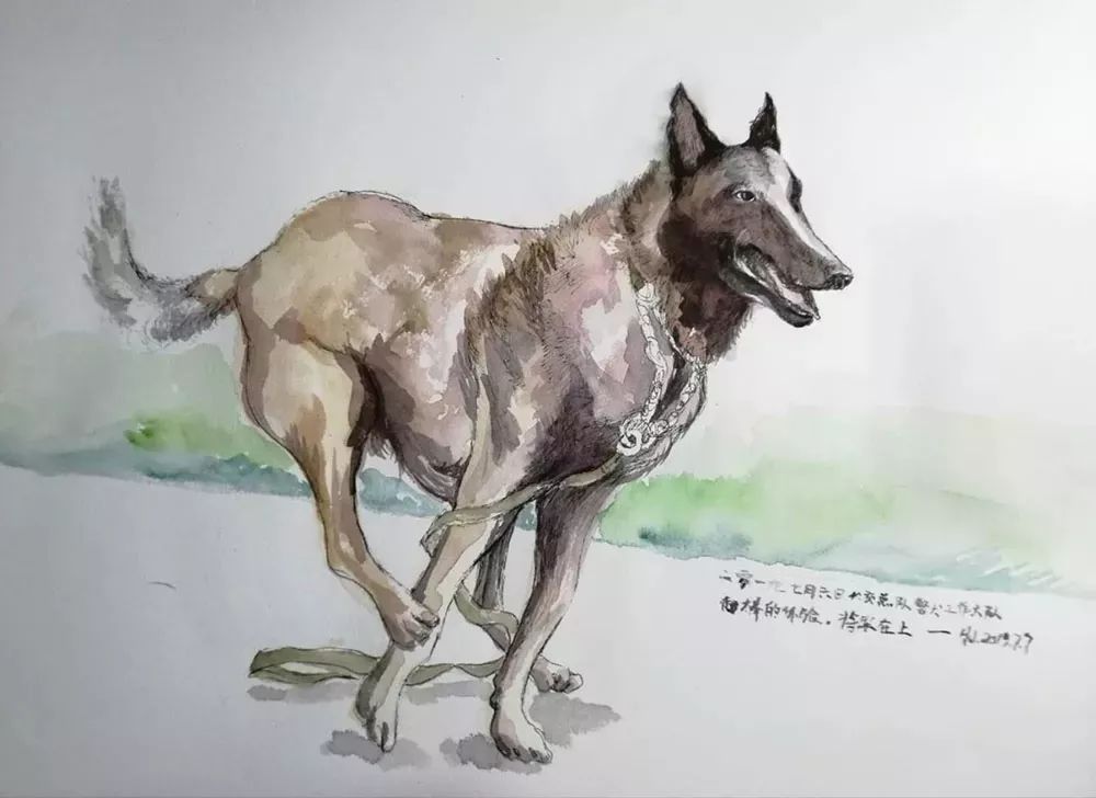 警犬基地的小画家今日补画表敬仰