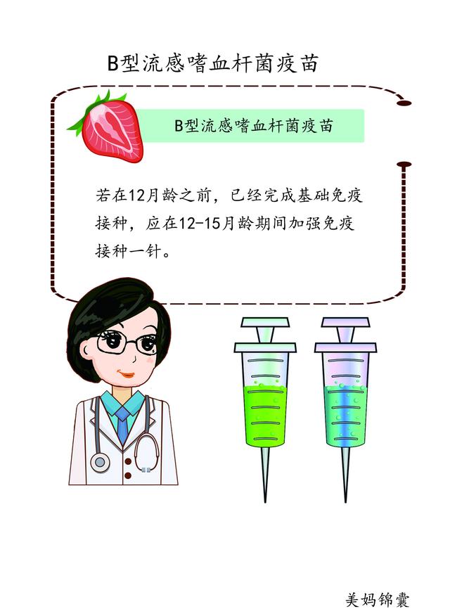                     建议宝宝在婴儿期接种B型流感嗜血杆菌疫苗