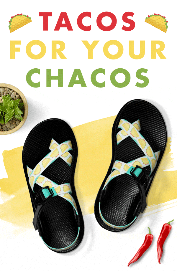 能让lebronjames屈服的只有taco
