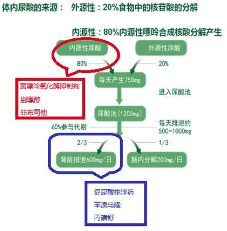 排尿酸的药物伤害肾脏吗 b4ab5fefeaab414ab87d552ab4551578.jpeg