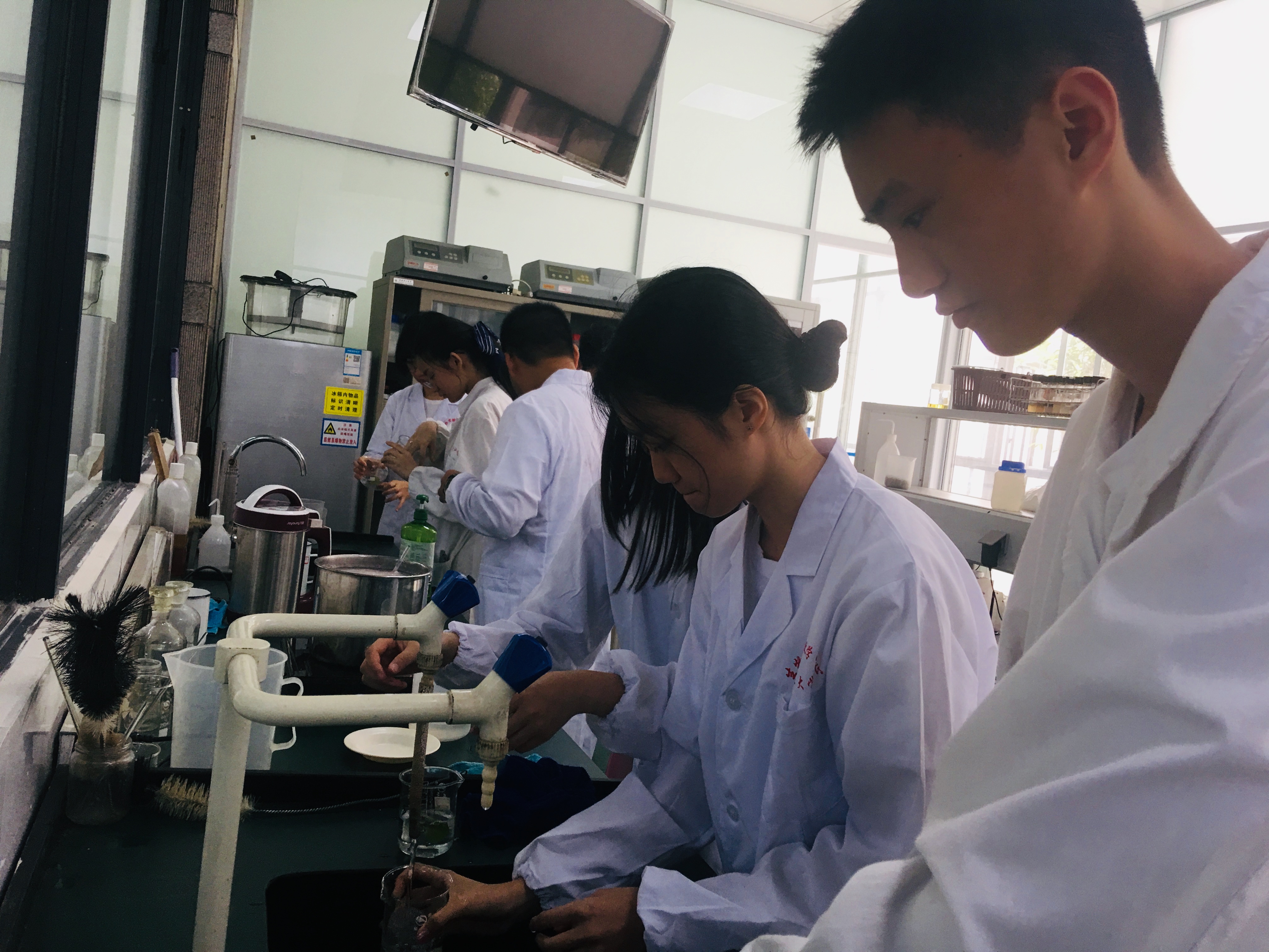 浙江大学2019年暑期高中生生物研究性学习夏令营_实验