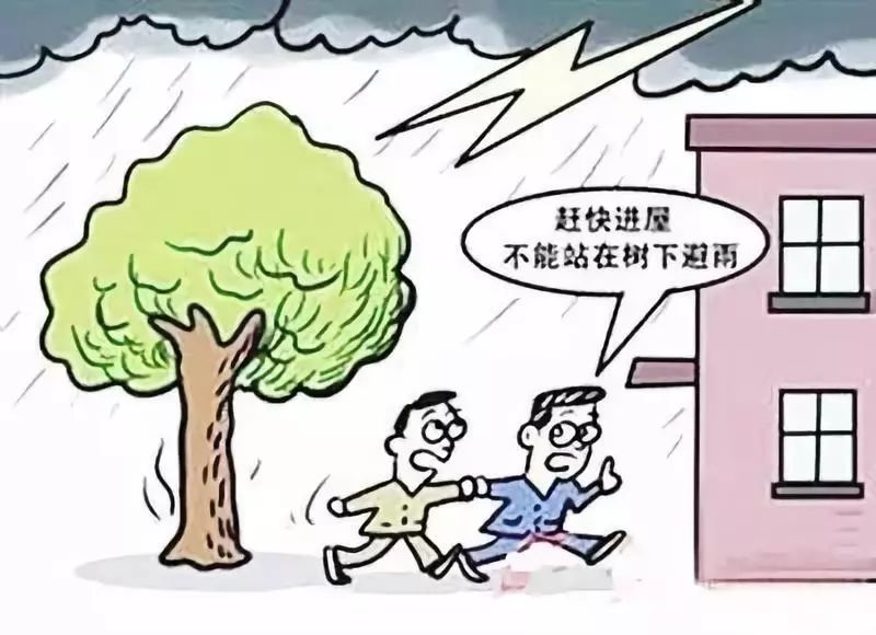 【中楼小学·卓雅教育】大暑节气到 安全要记牢
