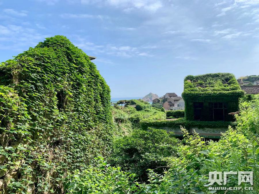 【你好,小岛】被时间遗忘的"绿野仙踪 探访神秘海岛无人村