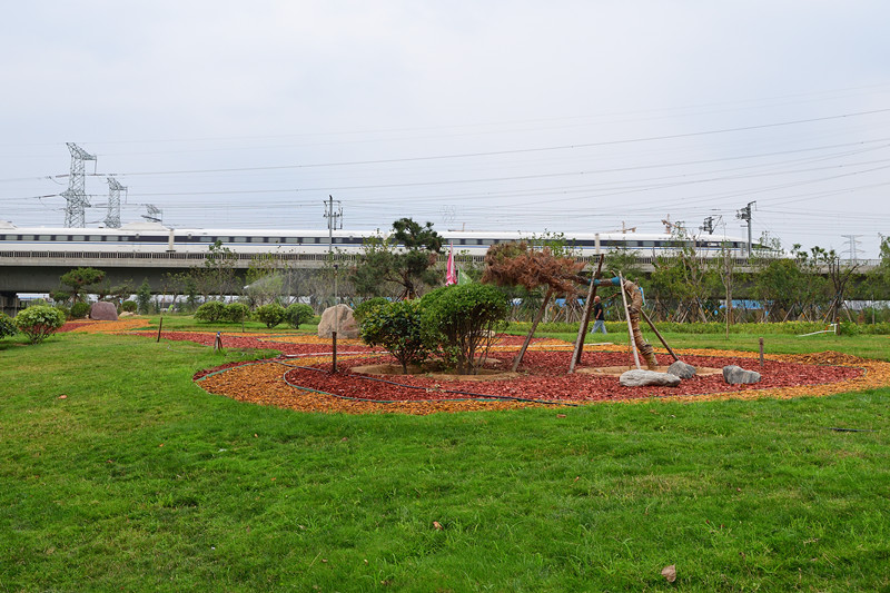 铁路沿线绿化 旅客赏美景 居民享福利