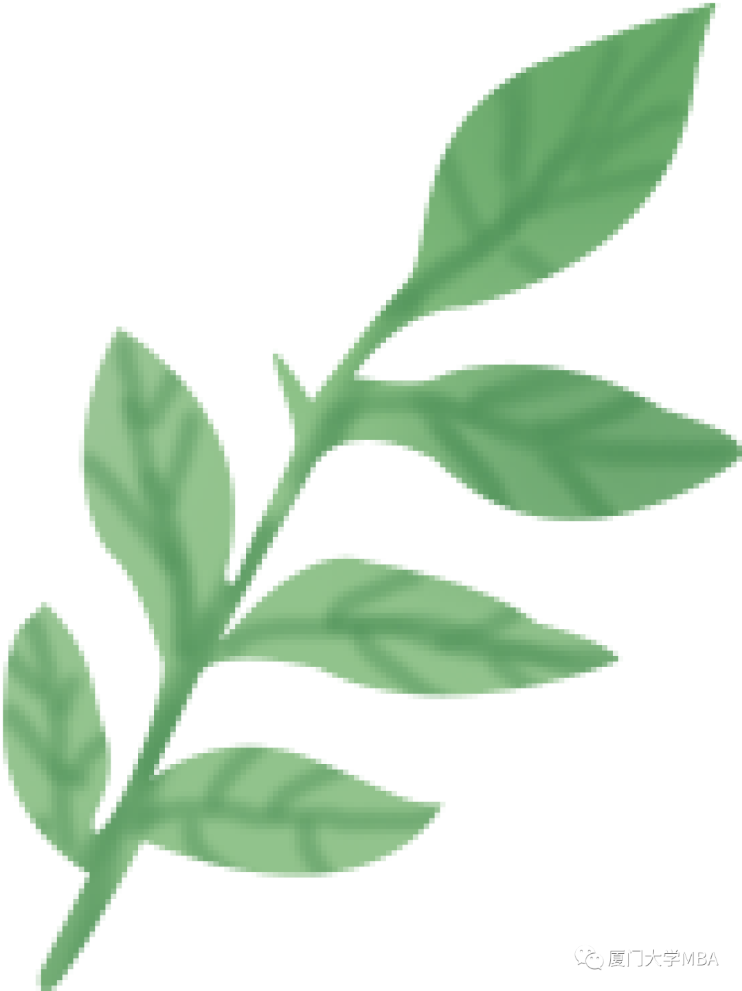 厦大MBA|首届MBA院校A9主任会议在厦门大学