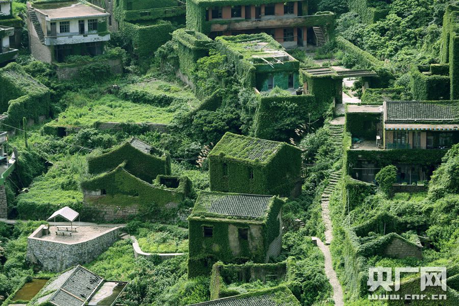 【你好，小島】被時間遺忘的「綠野仙蹤」 探訪神秘海島無人村 旅遊 第5張