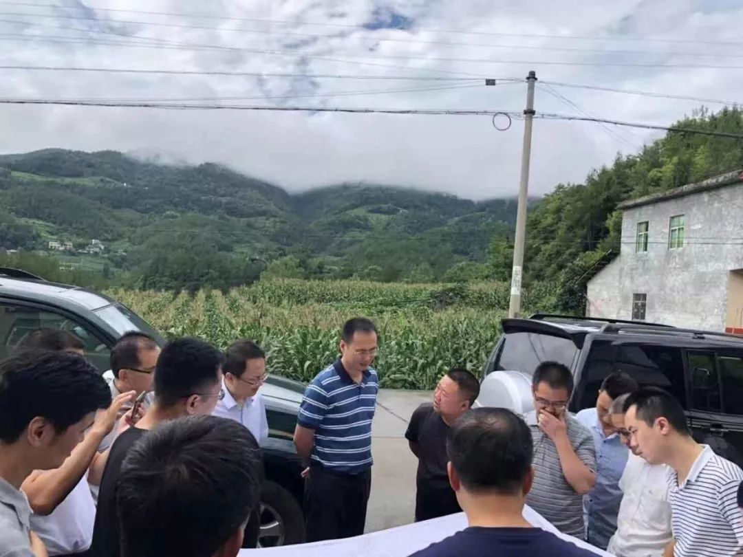 【交通】巫云开高速将在这些乡镇设立互通