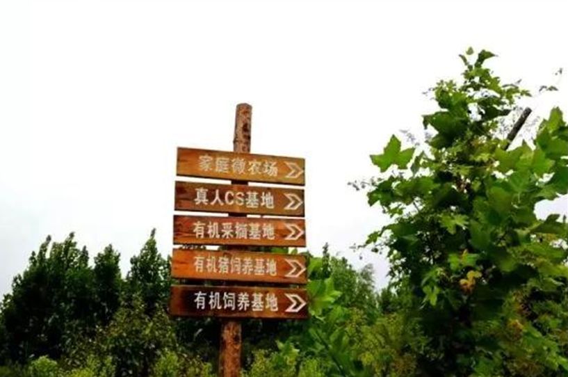 在燥热的夏日,升升农场机械电音节与升升森林生态农场的激情碰撞,定当