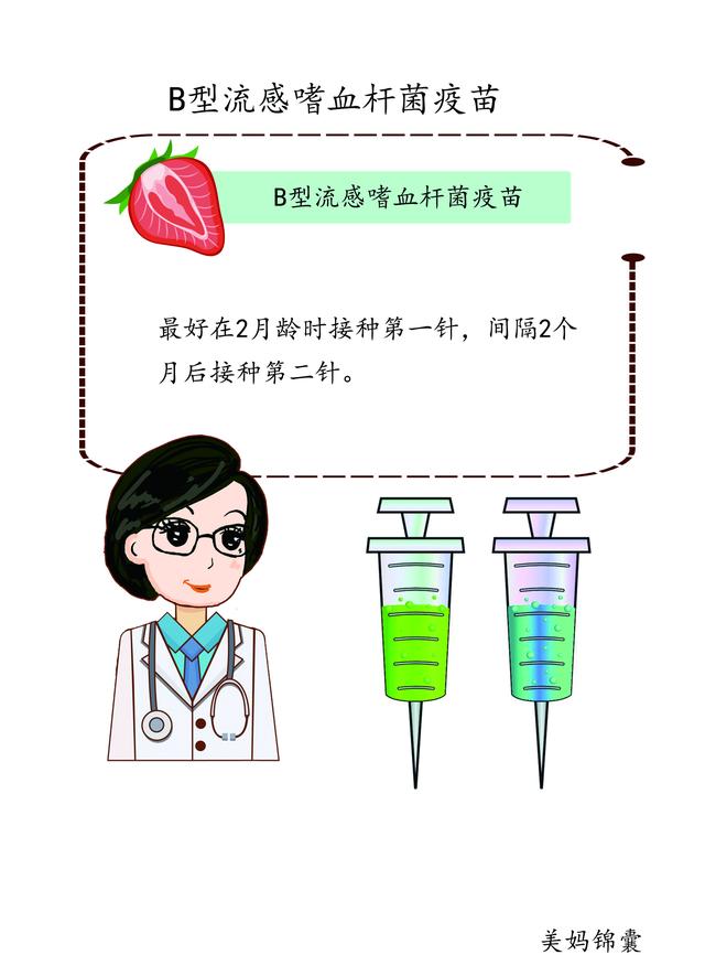                     建议宝宝在婴儿期接种B型流感嗜血杆菌疫苗