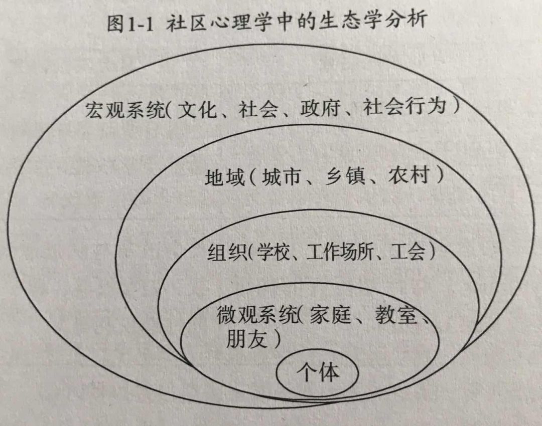 社会心理服务案例展示丰产路办事处社区心理服务生态系统