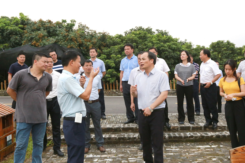 黄建平带队赴从化学习考察美丽乡村建设工作