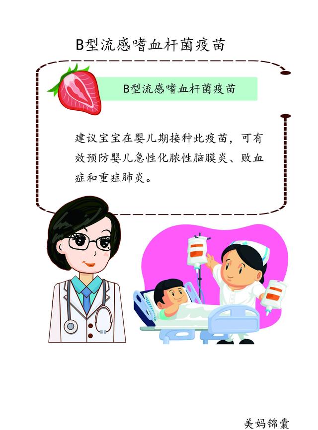                     建议宝宝在婴儿期接种B型流感嗜血杆菌疫苗