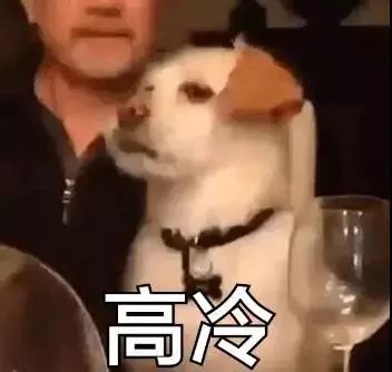 表情包:趁我还没酸,快滚