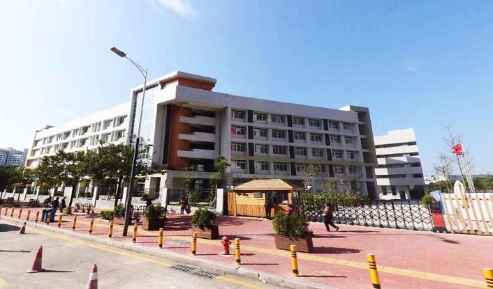 四所学校同属"龙华区行知学校系列".