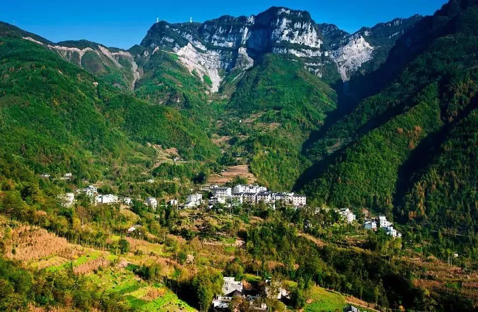 图源 | 开州旅游通 摄影by张清善雪宝山国家森林公园位于开州区北部