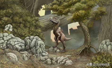 西班牙发现长着奇特驼背的食肉恐龙