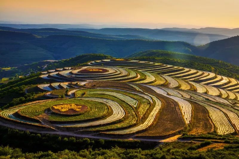 固原梯田固原花儿固原美丽周末盛开