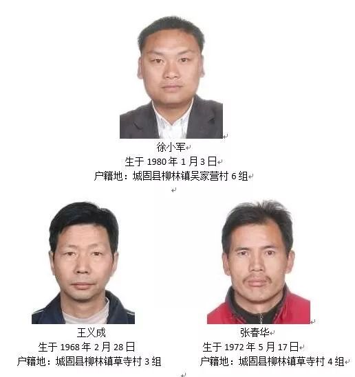 王义成等人恶势力犯罪团伙主要犯罪嫌疑人照片及基本信息  城固县公安