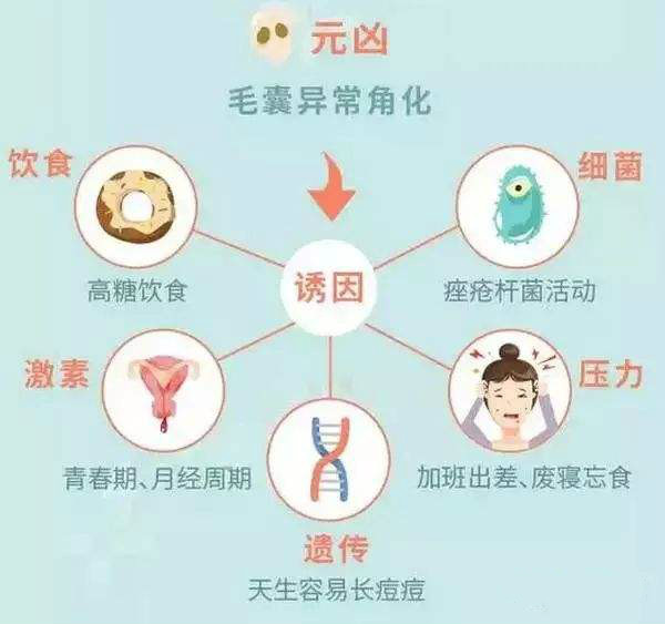 今天我们就来聊聊为什么会长痘.