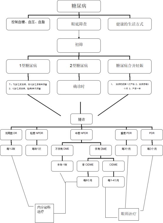 糖尿病视网膜病变的筛查转诊流程图