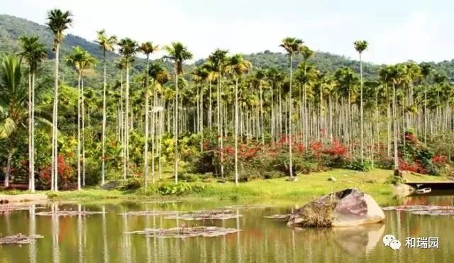 ��Ϊ��֪�ĺ�������������