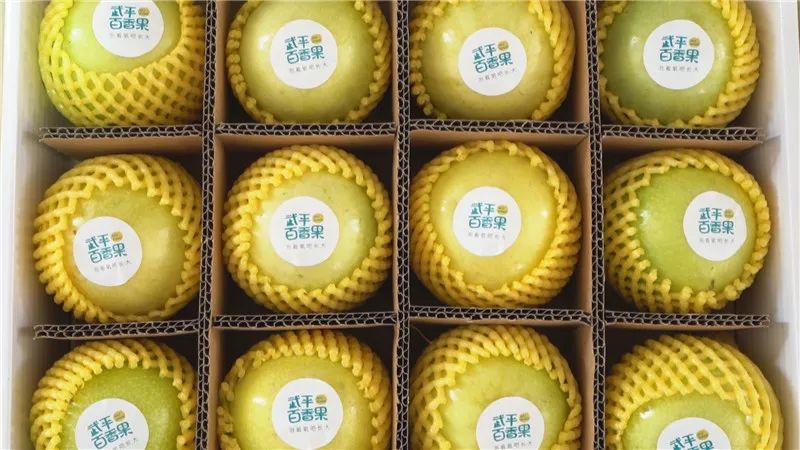 武平首批百香果丰收上市,预计产量2万吨!赶紧