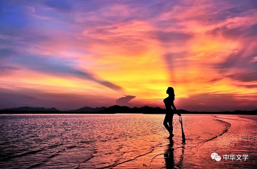 阳光像花瓣轻飘飘地落着此时无风天空很高云朵很远 Can