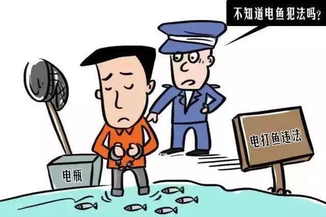 龙南有人非法电鱼!