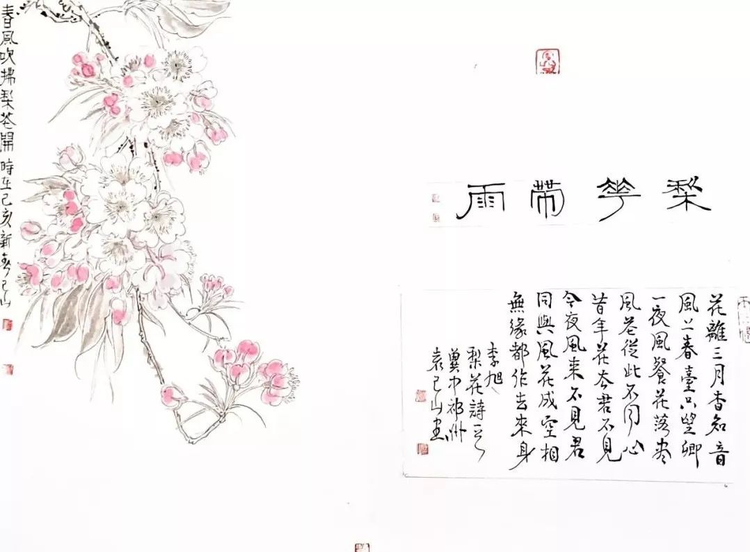 花卿什么成语_成语故事简笔画(5)