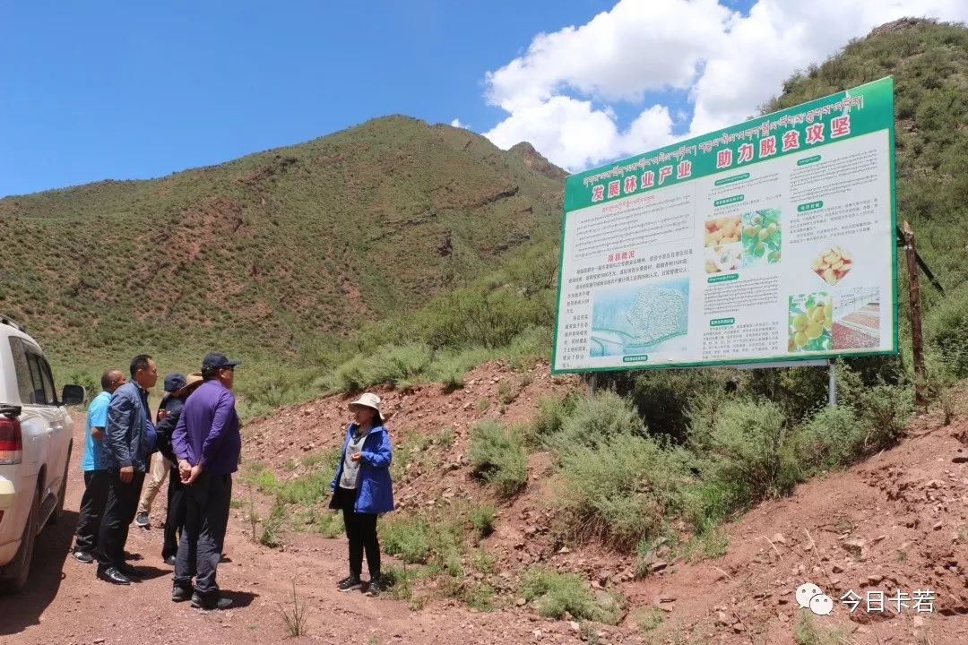 在卡若区如意乡,工作组察看了昌都市如意种苗基地,并前往达若村村委会