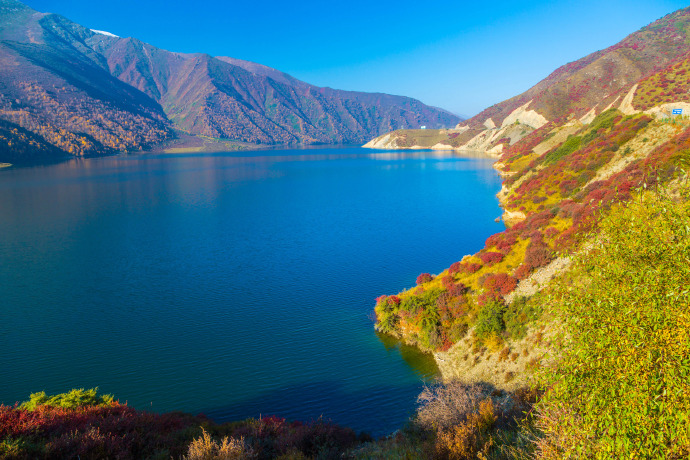 青海美如仙境的七大国家森林公园,每一处都让人留恋往返