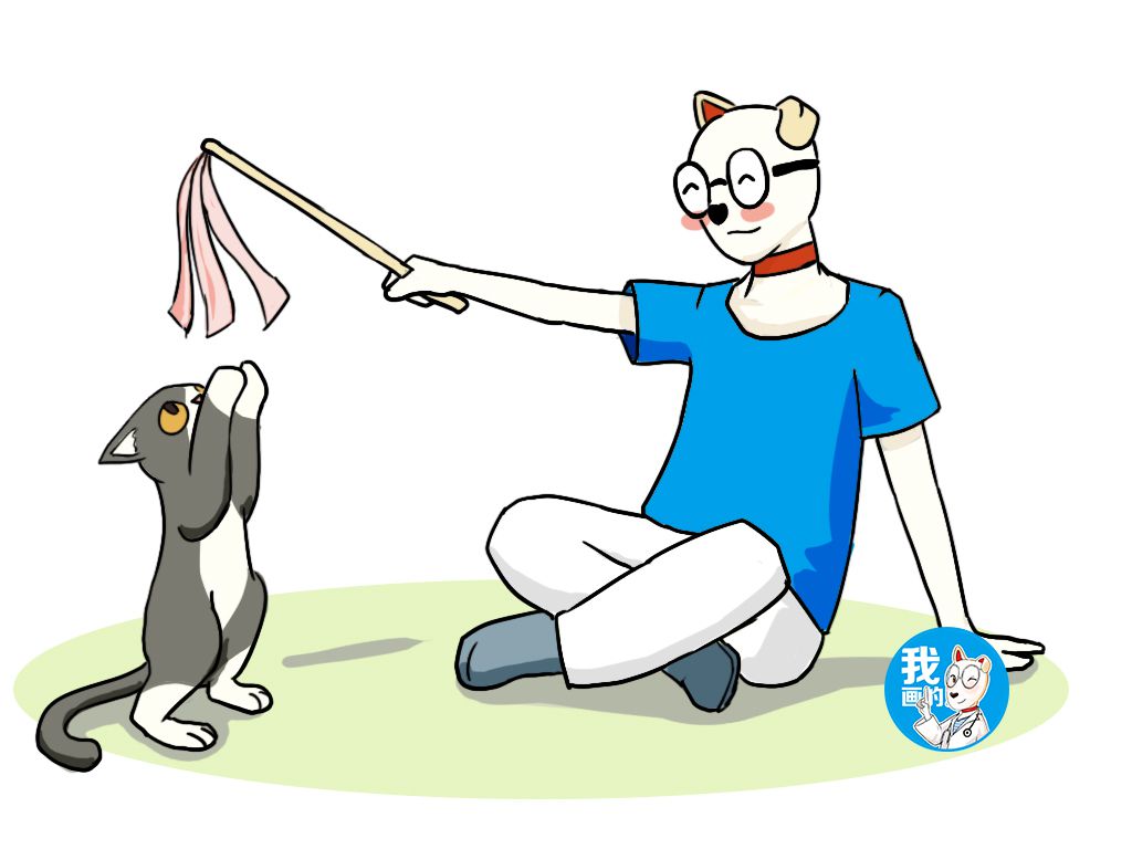 辟谣:猫咪随地大小便,一定是发情或恶作剧?老