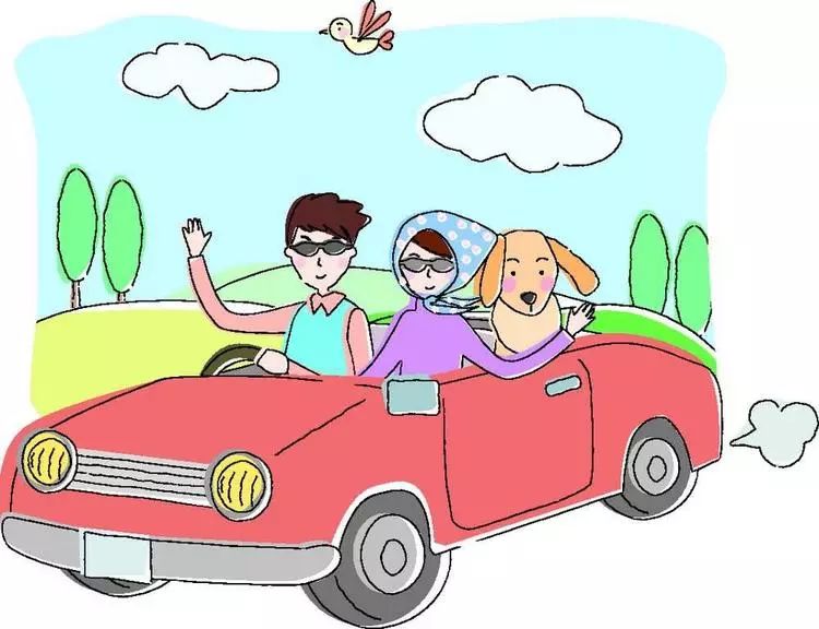 8月3日,跟着广电主持人采黄桃咯!