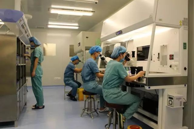 胚胎学家日带您走进ivf胚胎学实验室