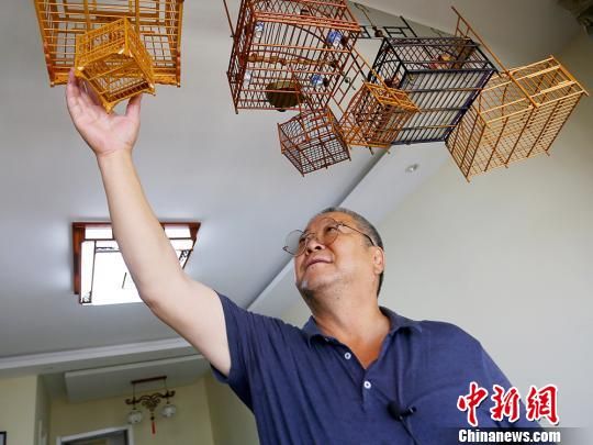 兰州花甲老人研竹筑鸟笼20余载 革新技法冀传承冷门技能