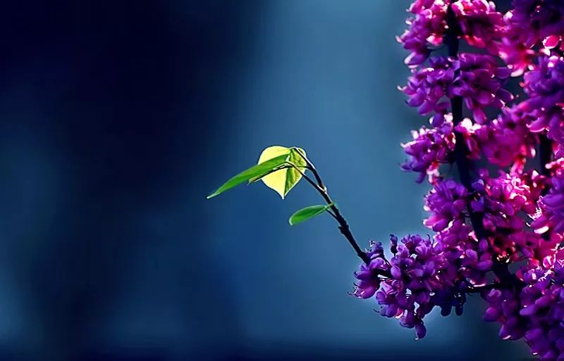 20d145cf76114e62bc860efe7683bfef.jpeg