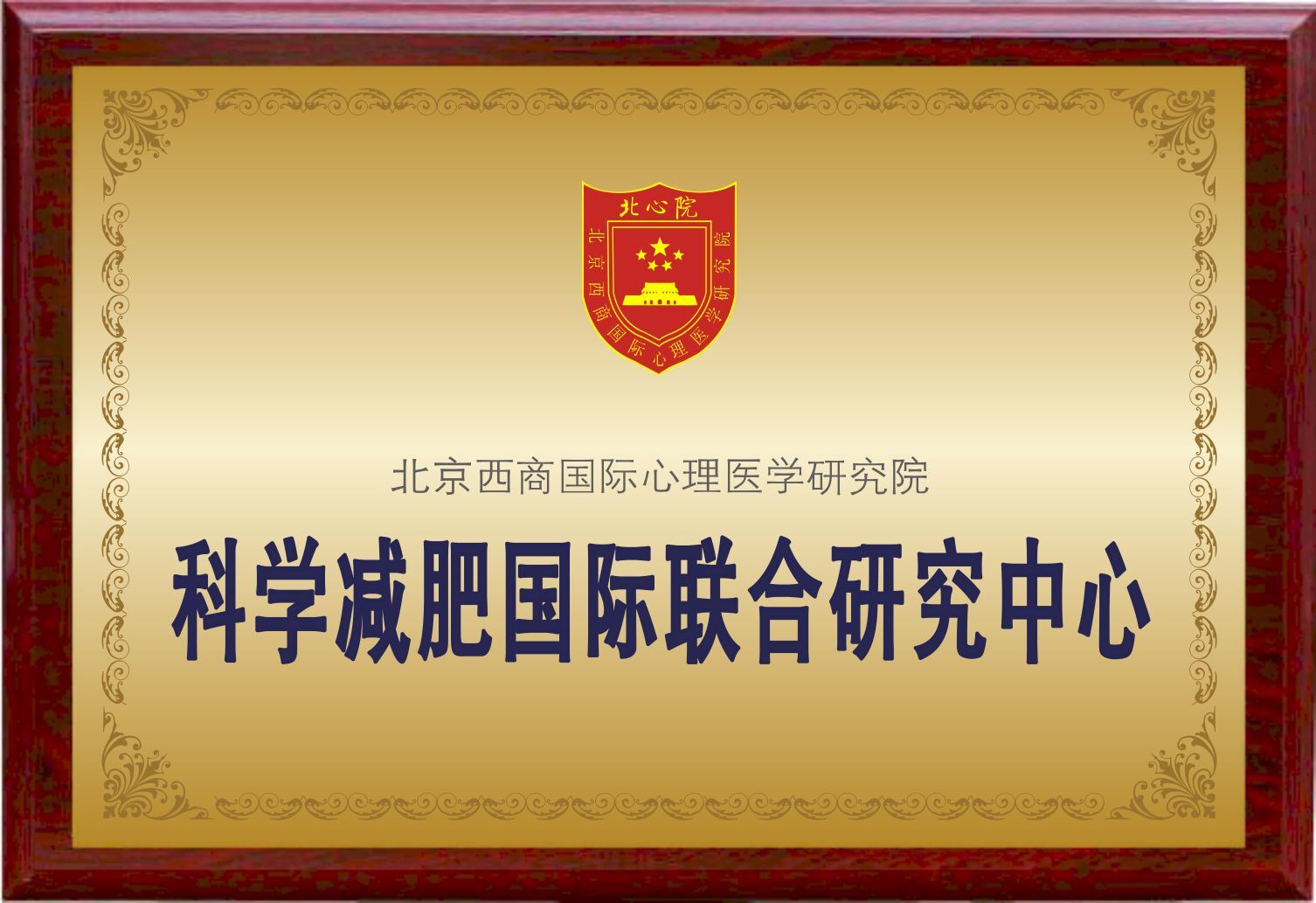 心理医学研究院联合创建的"科学减肥国际联合研究中心"在西安正式成立