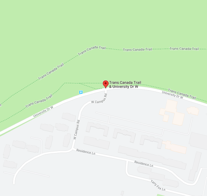 恐慌 ◇ 本拿比针扎路人列治文捅杀乘客!大温成